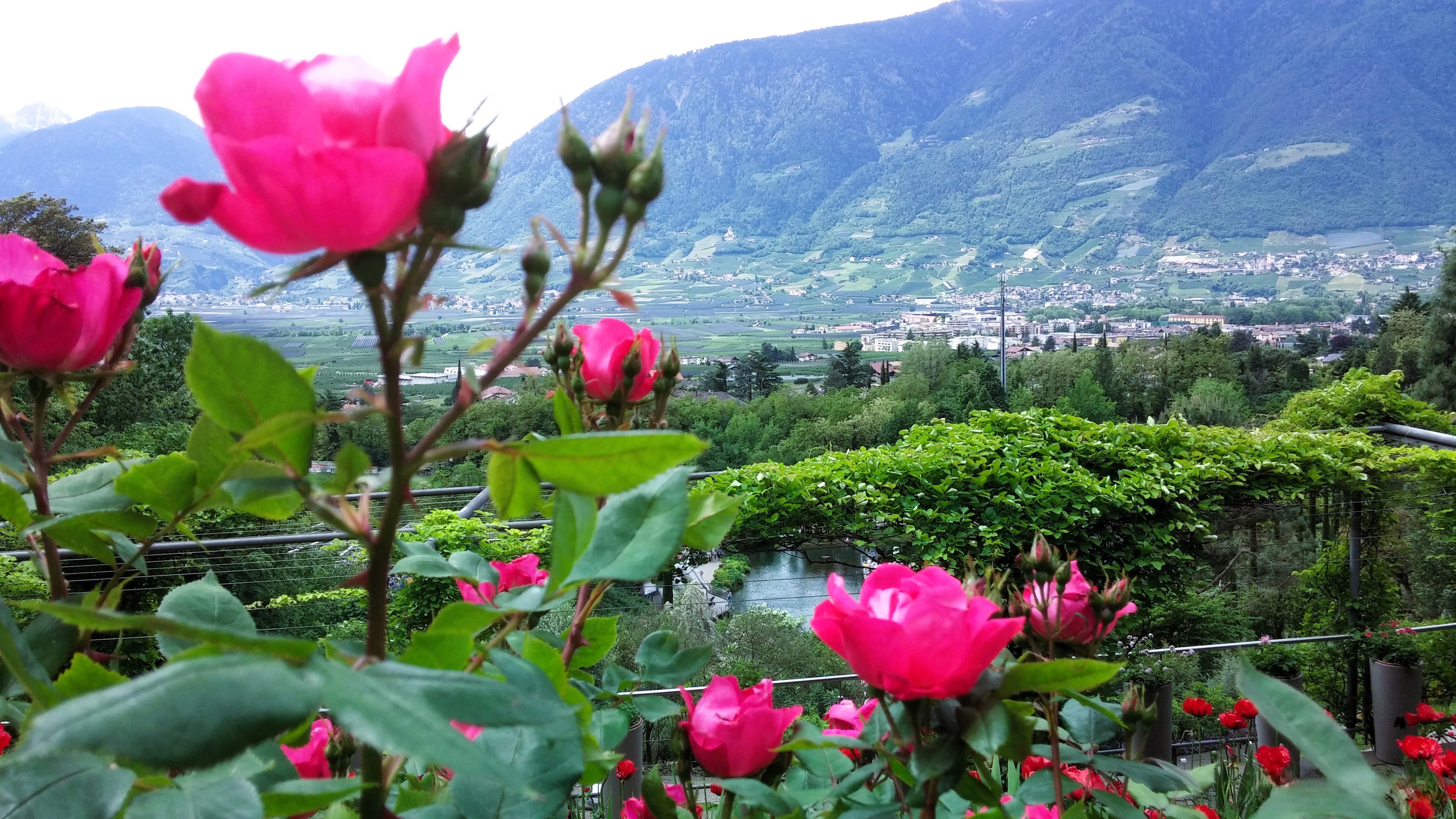 Gärten von Schloss Trauttmansdorff Meran Italien